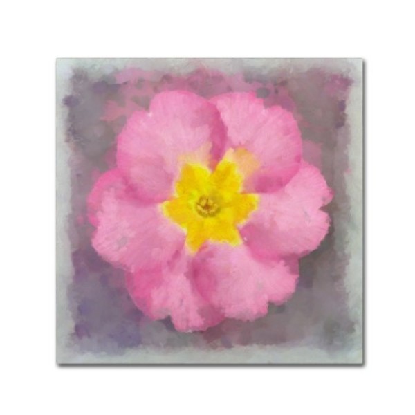 Trademark Fine Art Cora Niele 'Primrose Pink' Canvas Art, 14x14 ALI16464-C1414GG